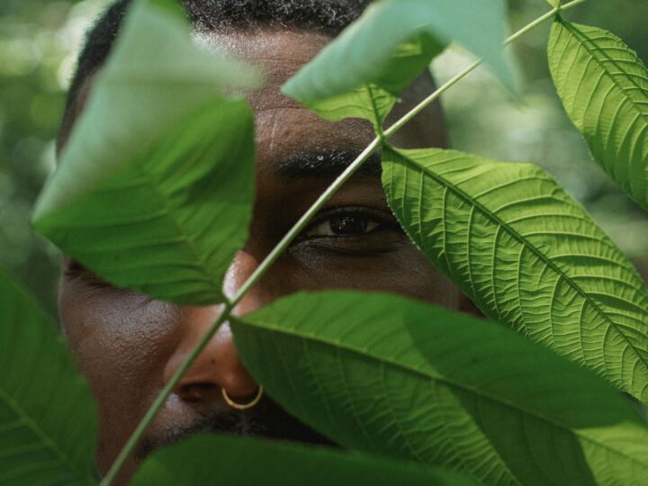 Park Stare Koryto Warty